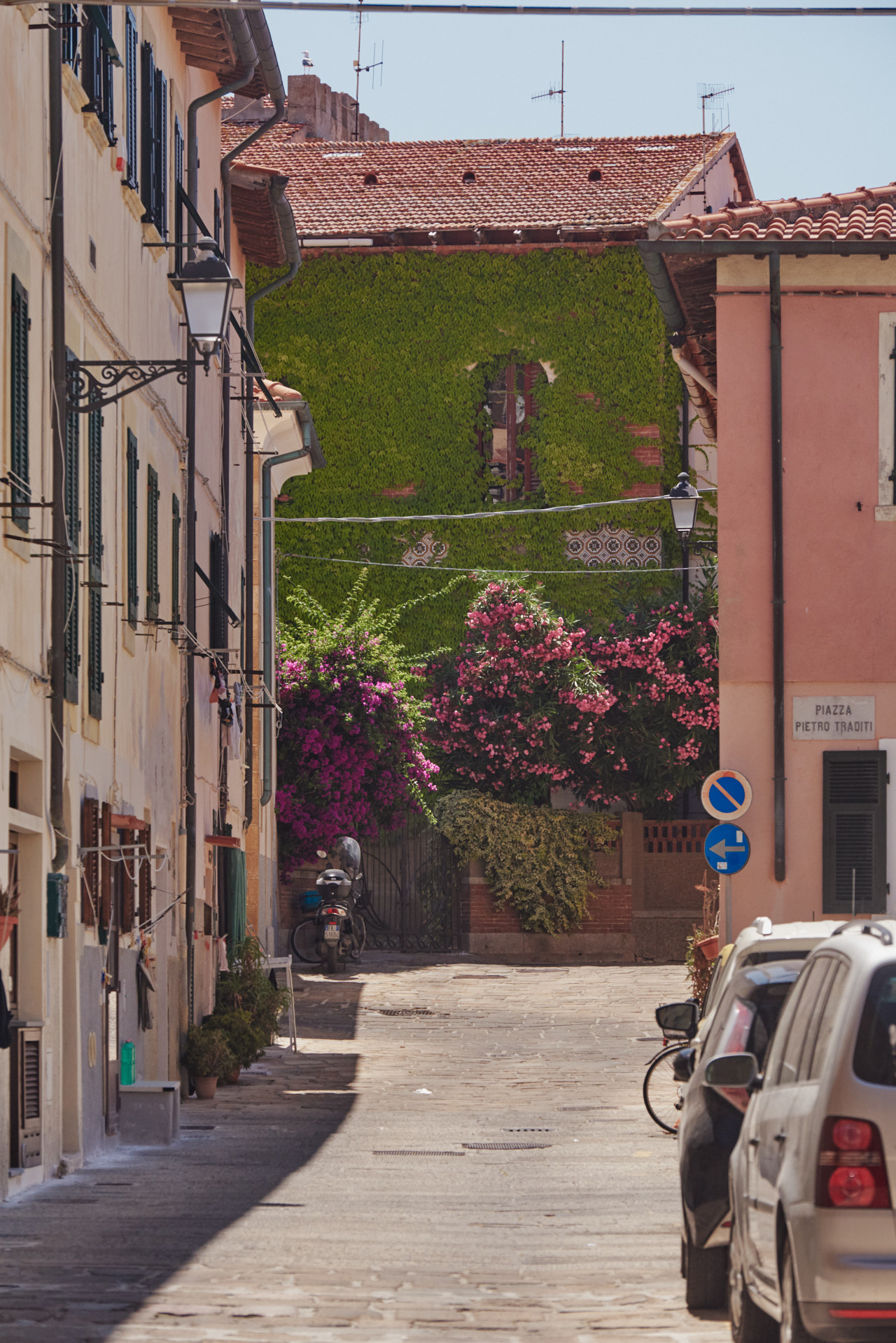 Elba Toscana Italy 2025