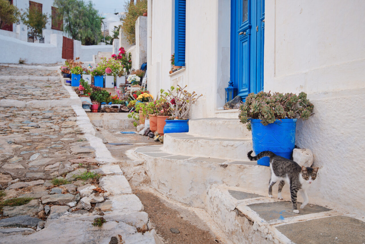 Serifos Island Cyclades 022