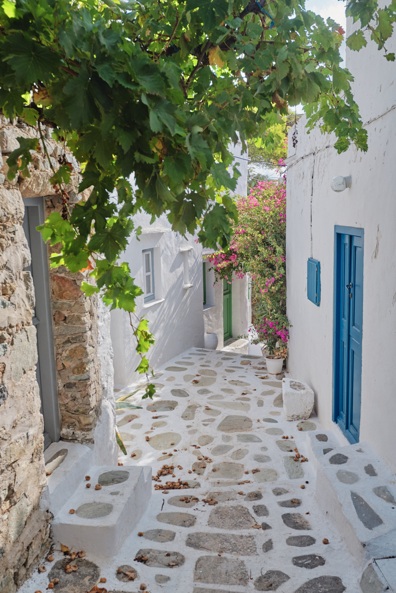 Serifos Island Cyclades 139