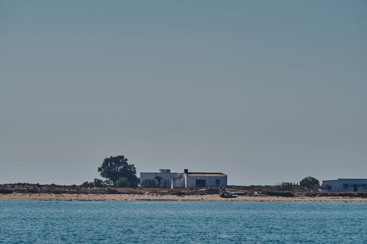 Culatra Portugal 2025